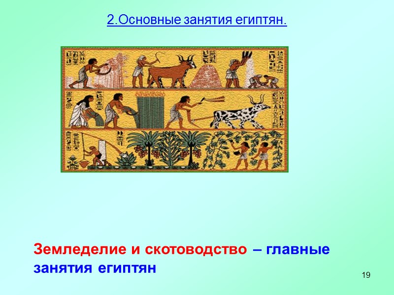 19 Земледелие и скотоводство – главные занятия египтян  2.Основные занятия египтян.
